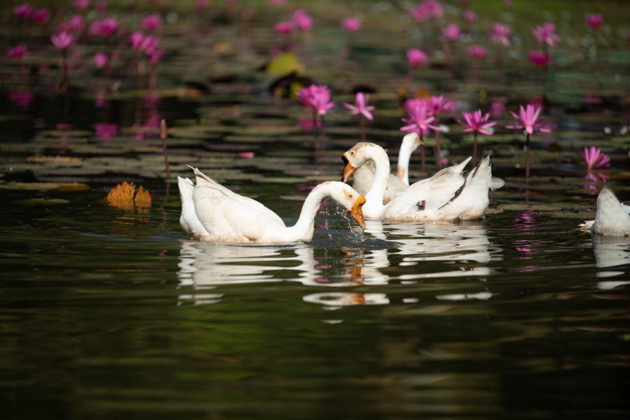 Mane Family Vacation Khách sạn Siem Reap